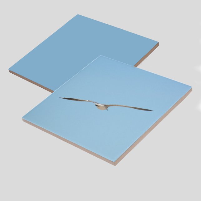 Azulejo Tierra Real en la costa del cielo azul (1 of 7 coordinating bird in flight coastal sky blue ceramic tiles)