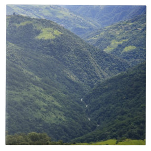 Azulejo Tierras agrícolas y bosque de Himalaya en el valle