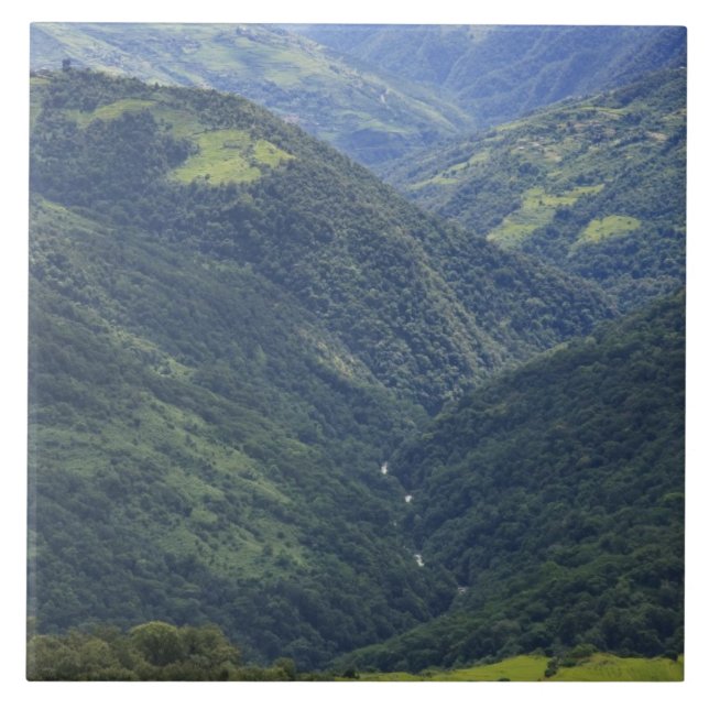 Azulejo Tierras agrícolas y bosque de Himalaya en el valle (Frente)