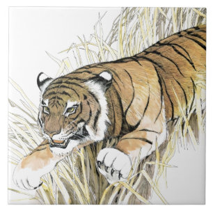 Azulejo Tigre