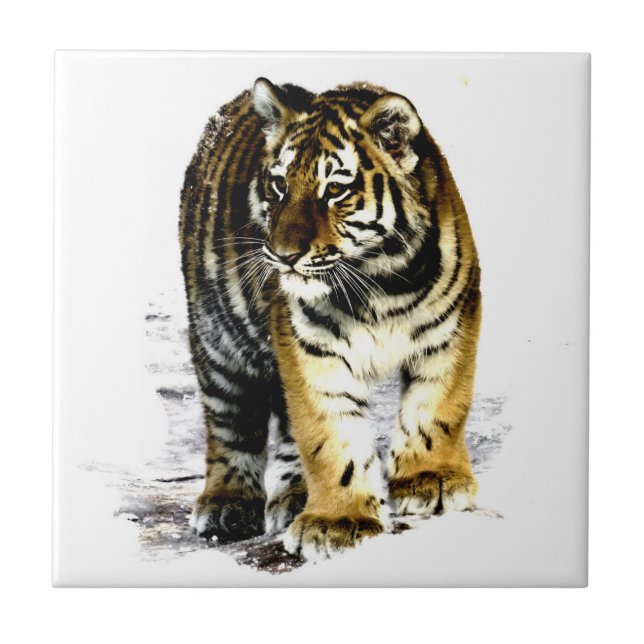 Azulejo Tigre (Frente)