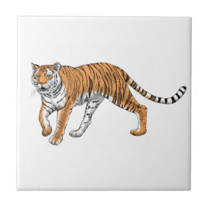 Azulejo Tigre 2