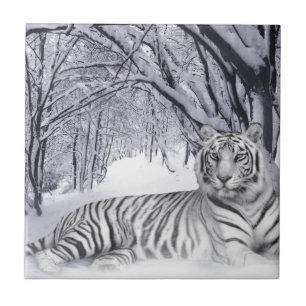 AZULEJO TIGRE BLANCO