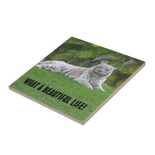Azulejo Tigre Blanco Descansando Bajo la Luz Cálida de la 