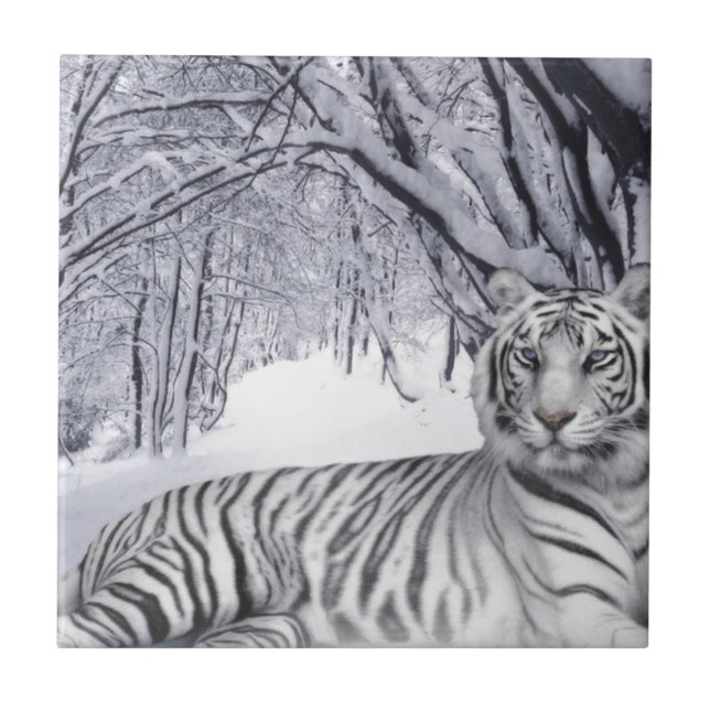 Azulejo Tigre de nieve blanca (Frente)