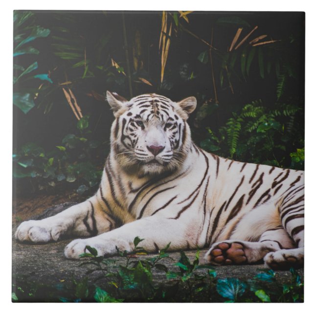 Azulejo Tigre mosaico cerámico (Frente)