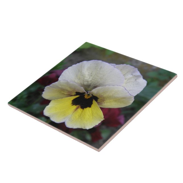 Azulejo Tile blanco y amarillo pansy (Lado)