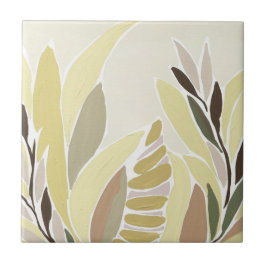 Azulejo Tile Cerámico