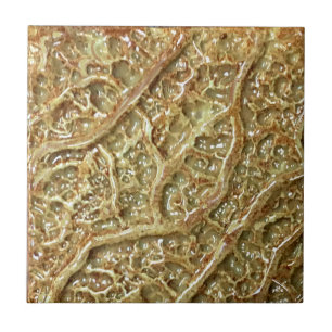 Azulejo Tile Cerámico