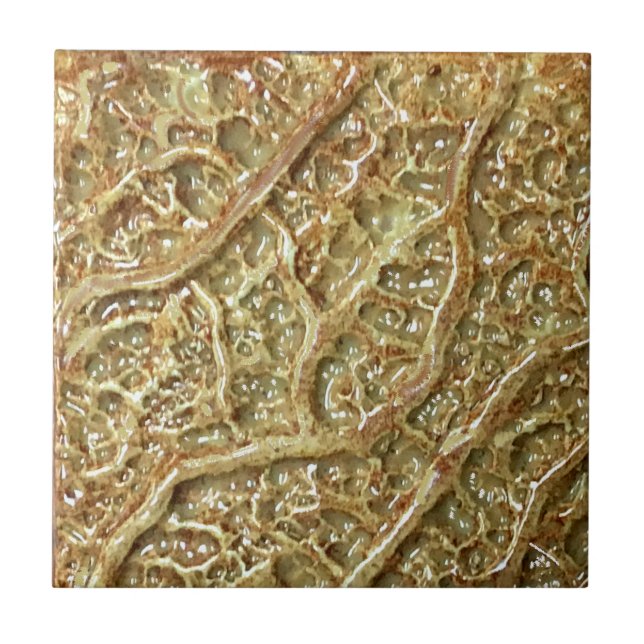 Azulejo Tile Cerámico (Frente)