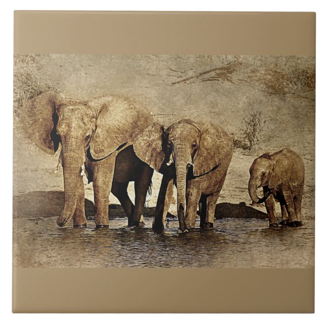 Azulejo Tile Cerámico (Frente)