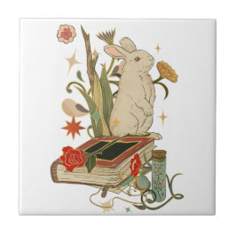 Azulejo Tile Cerámico