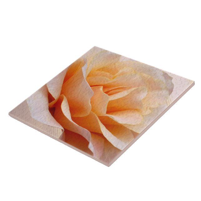 Azulejo Tile Cerámico (Lado)