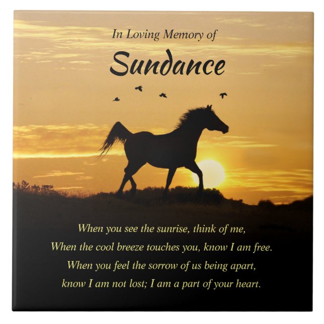 Azulejo Tile Cerámico (Frente)