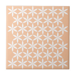 Azulejo Tile Cerámico