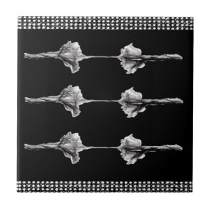 Azulejo Tile cerámico blanco y negro