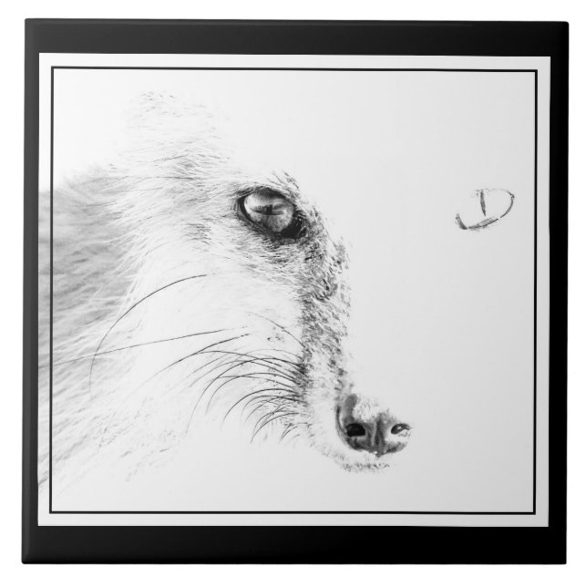 Azulejo Tile cerámico de Fox Face (Frente)