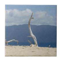 Tile cerámico de las islas Frankland