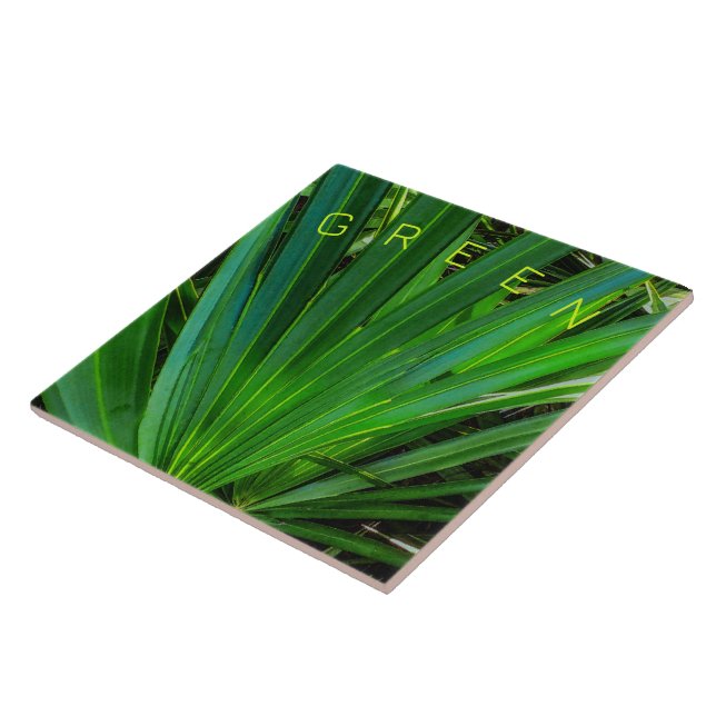 Azulejo Tile Cerámico De Palmetto De Saw VERDE (Lado)