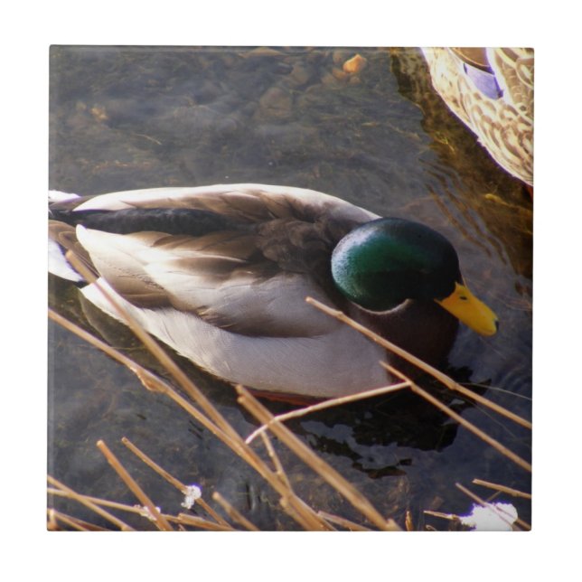 Azulejo Tile cerámico de pato de madera (Frente)