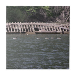 Azulejo Tile cerámico del río Sacramento