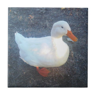 Azulejo Tile cerámico Duck
