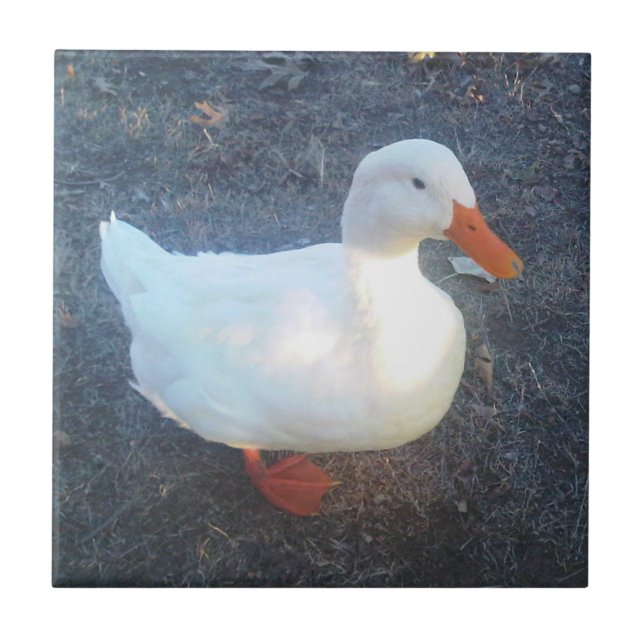 Azulejo Tile cerámico Duck (Frente)