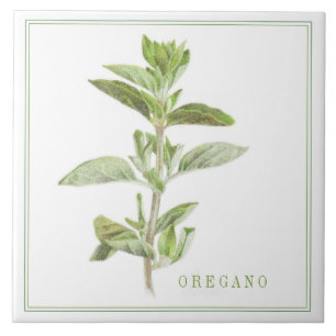 Azulejo Tile cerámico FRESH OREGANO 6x6 (+texto)