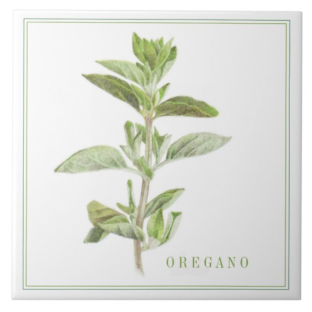 Azulejo Tile cerámico FRESH OREGANO 6x6 (+texto) (Frente)
