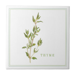 Azulejo Tile cerámico FRESH THYME 4.25x4.25 (+texto)