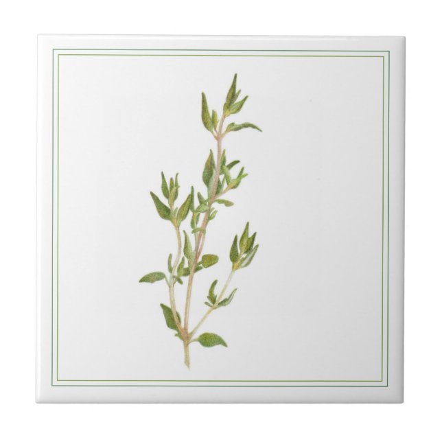 Azulejo Tile cerámico FRESH THYME 4.25x4.25 (-texto) (Frente)