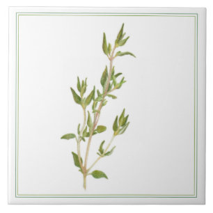 Azulejo Tile cerámico FRESH THYME 6x6 (-texto)