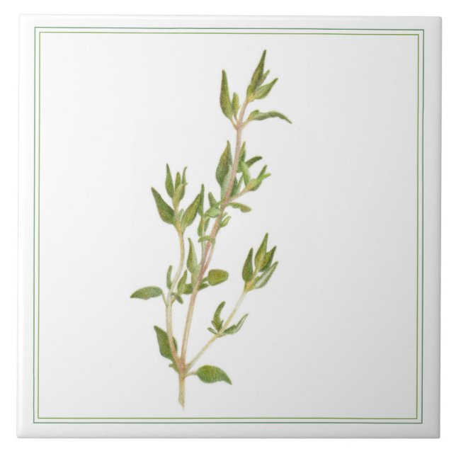 Azulejo Tile cerámico FRESH THYME 6x6 (-texto) (Frente)
