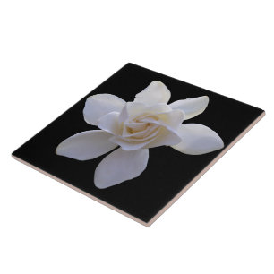 Azulejo Tile cerámico - Gardenia sobre negro