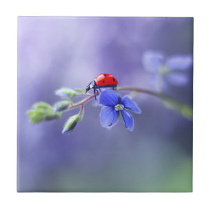 Azulejo Tile cerámico LADYBUG