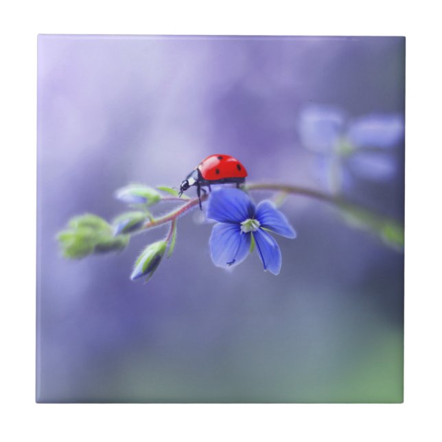 Azulejo Tile cerámico LADYBUG (Frente)