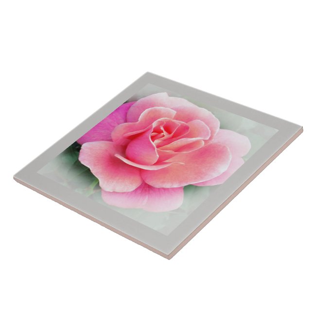 Azulejo Tile cerámico PINK ROSE (Lado)
