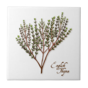 Azulejo Tile cerámico Thyme Herb Inglés