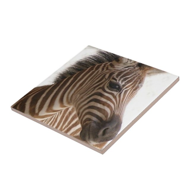 Azulejo Tile Cerámico Tile Brown Zebra Stripe (Lado)