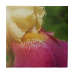 Azulejo Tile De Arte Floral De Iris Amarillo Macro