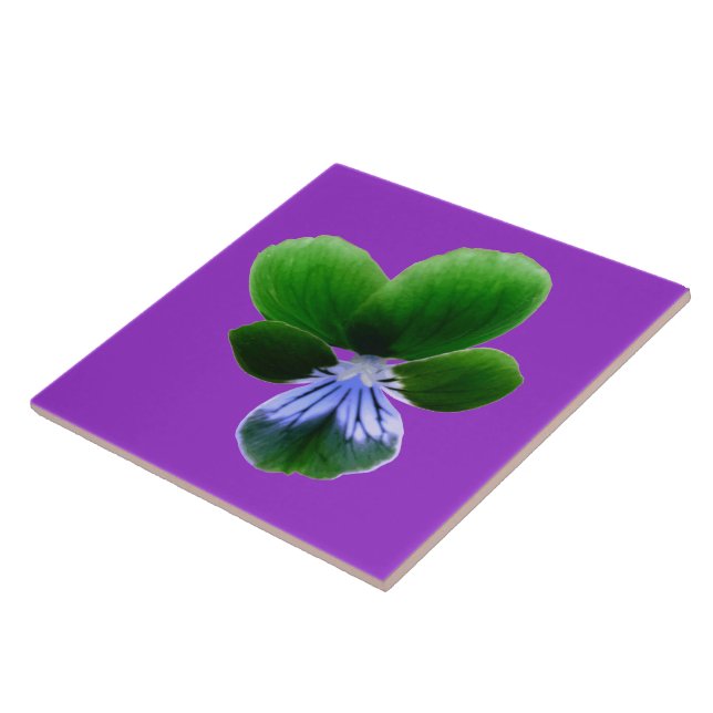 Azulejo Tile de Pansy verde (Lado)