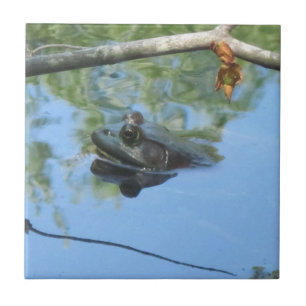 Azulejo Tile de rana