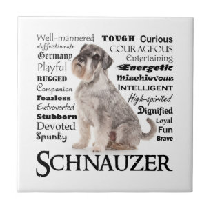 Azulejo Tile de rasgos Schnauzer