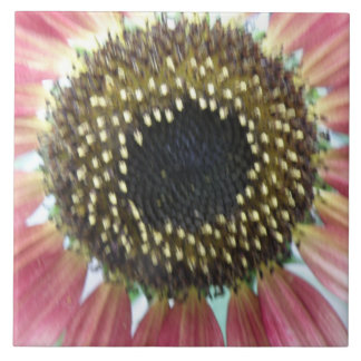 Azulejo Tile De Sunflower Rosa