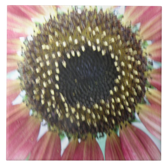 Azulejo Tile De Sunflower Rosa (Frente)