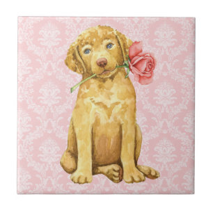 Azulejo Tile de Valentine Rosa Chesapeake Bay Retriever