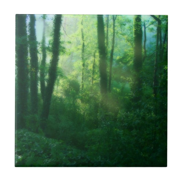 Azulejo Tile decorativo de fertilidad (Frente)