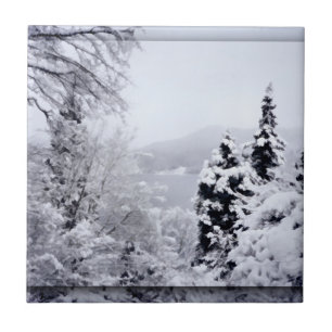 Azulejo Tile decorativo del lago Nojiri