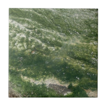 Tile Decorativo Verde