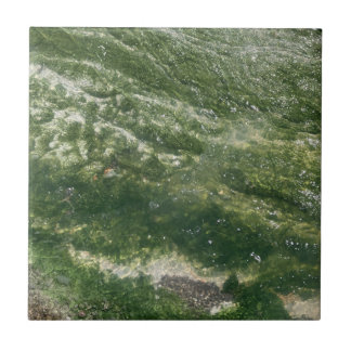 Azulejo Tile Decorativo Verde